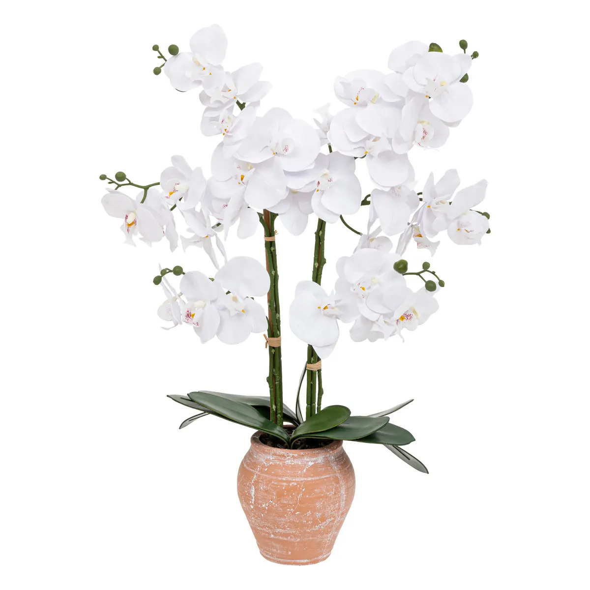 Atmosphera Orchidee bloemen kunstplant in sierlijke terracotta bloempot witte bloemen H65 cm