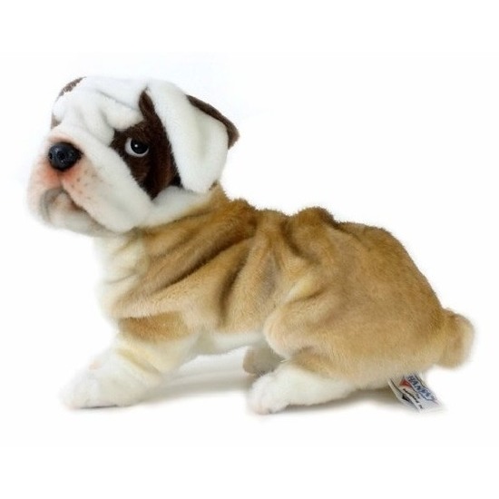 Pluche bulldog knuffel hond 30 cm